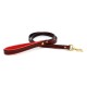 Padded Leather Collar & Leash