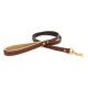 Padded Leather Collar & Leash
