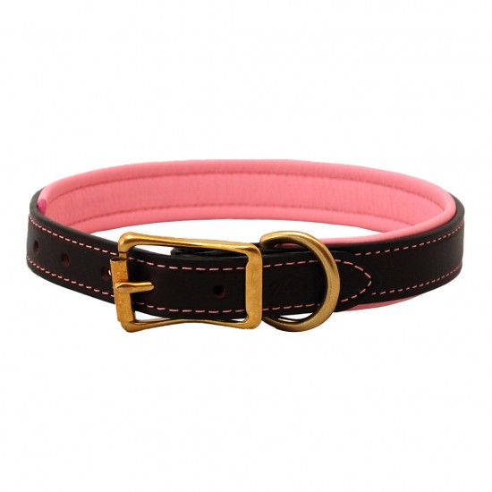 Padded Leather Collar & Leash