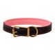 Padded Leather Collar & Leash