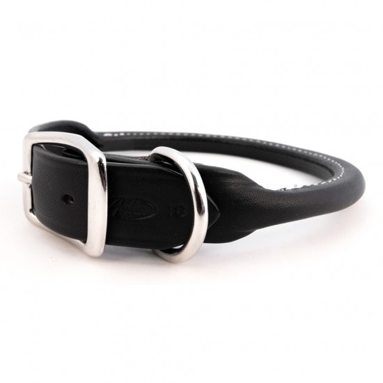Rolled Collar & Leash