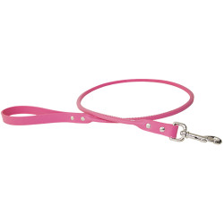 Rolled Collar & Leash
