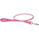 Rolled Collar & Leash