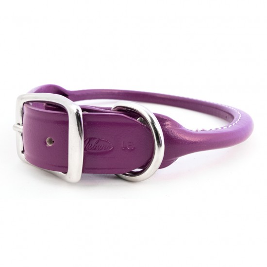 Rolled Collar & Leash