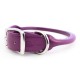 Rolled Collar & Leash