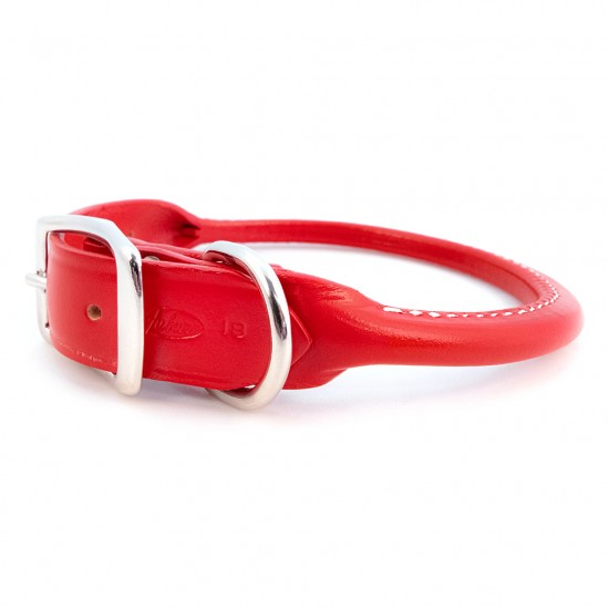 Rolled Collar & Leash