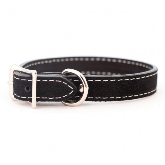 Saratoga Suede Collar & Leash