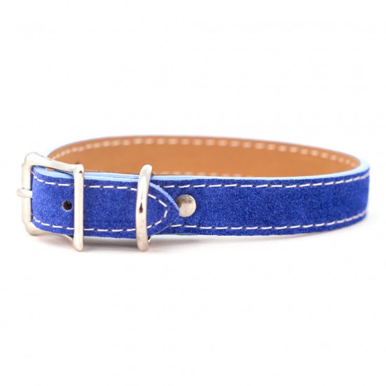 Saratoga Suede Collar & Leash