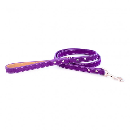 Saratoga Suede Collar & Leash