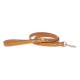 Saratoga Suede Collar & Leash