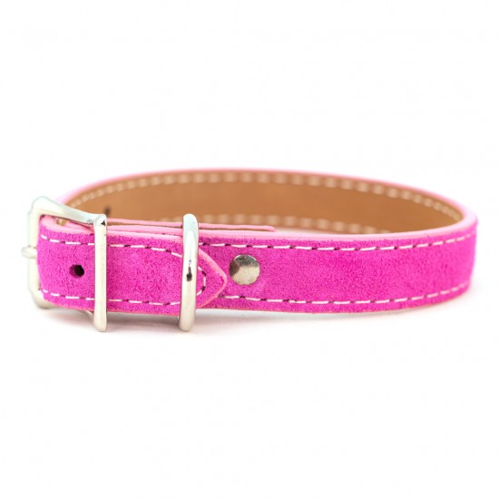 Saratoga Suede Collar & Leash