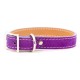 Saratoga Suede Collar & Leash