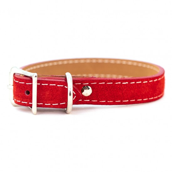 Saratoga Suede Collar & Leash