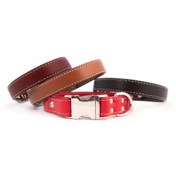 Seneca Side-Release Collar