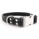 Seneca Side-Release Collar