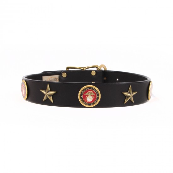 Service Emblem Collar & Leash