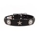Service Emblem Collar & Leash