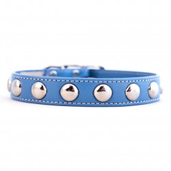 Silver Studded Collar