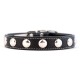 Silver Studded Collar