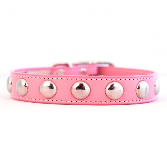 Silver Studded Collar