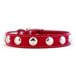 Silver Studded Collar