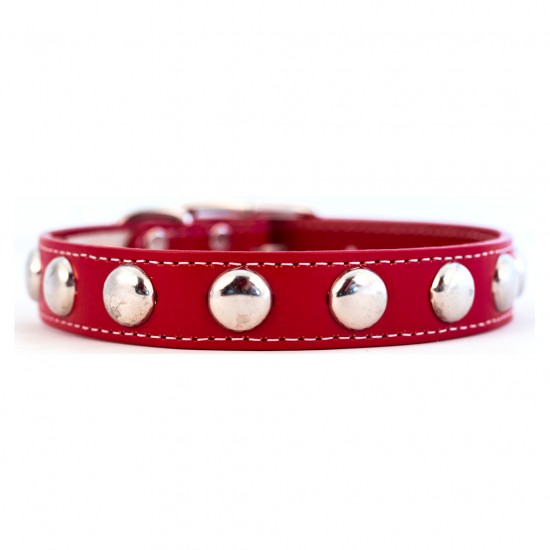 Silver Studded Collar