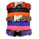 Sparky's Choice Side-Release Collars