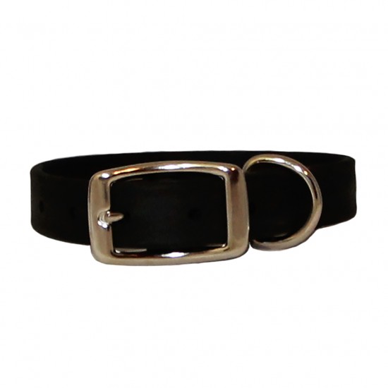 Sparky's Choice Standard Buckle Collars & Leash