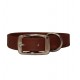 Sparky's Choice Standard Buckle Collars & Leash