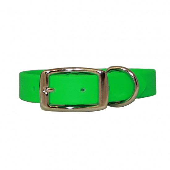Sparky's Choice Standard Buckle Collars & Leash