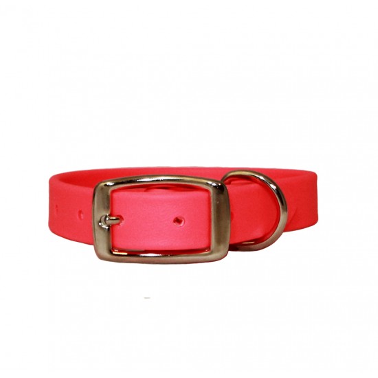 Sparky's Choice Standard Buckle Collars & Leash
