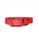 Sparky's Choice Standard Buckle Collars & Leash