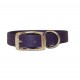 Sparky's Choice Standard Buckle Collars & Leash
