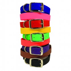 Sparky's Choice Standard Buckle Collars & Leash