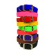 Sparky's Choice Standard Buckle Collars & Leash