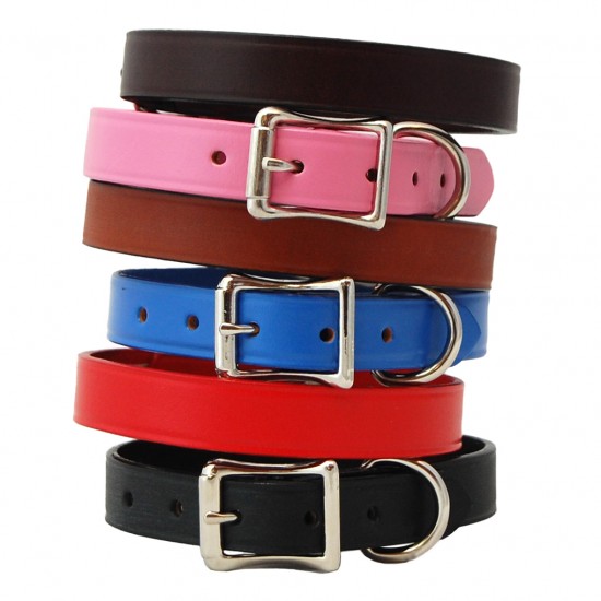 Town Collar & Leash