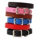 Town Collar & Leash
