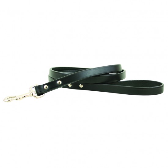 Town Collar & Leash