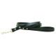Town Collar & Leash