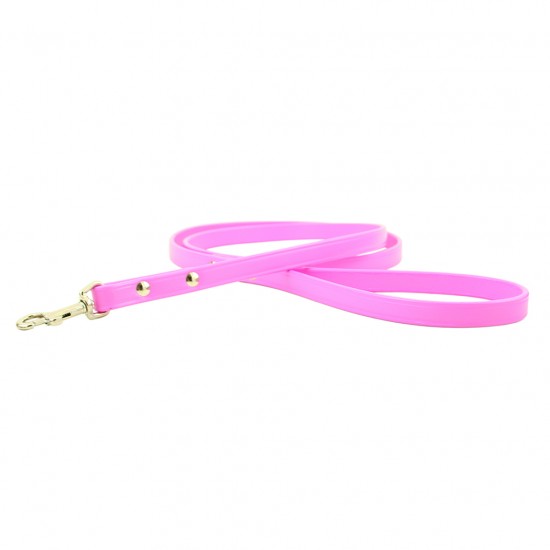Town Collar & Leash