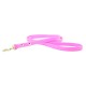 Town Collar & Leash