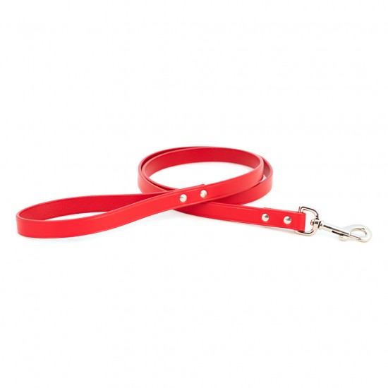 Town Collar & Leash
