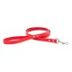 Town Collar & Leash