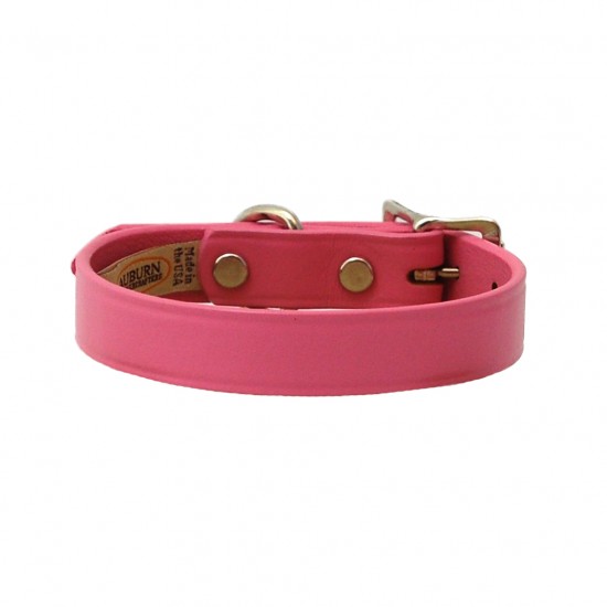Town Collar & Leash