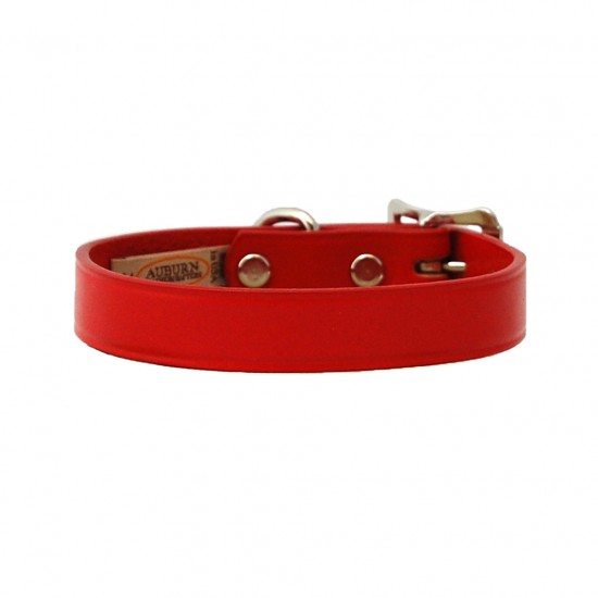 Town Collar & Leash