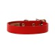 Town Collar & Leash