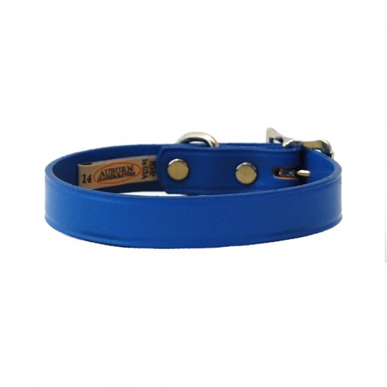 Town Collar & Leash