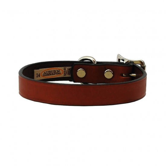 Town Collar & Leash