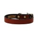 Town Collar & Leash