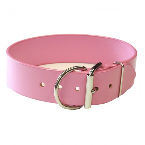 Tuff Stuff Collar